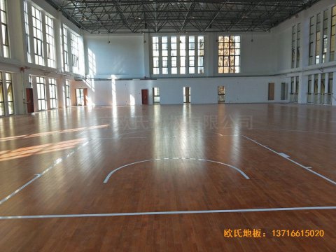 安徽上派學(xué)區(qū)中心學(xué)校籃球館運(yùn)動(dòng)木地